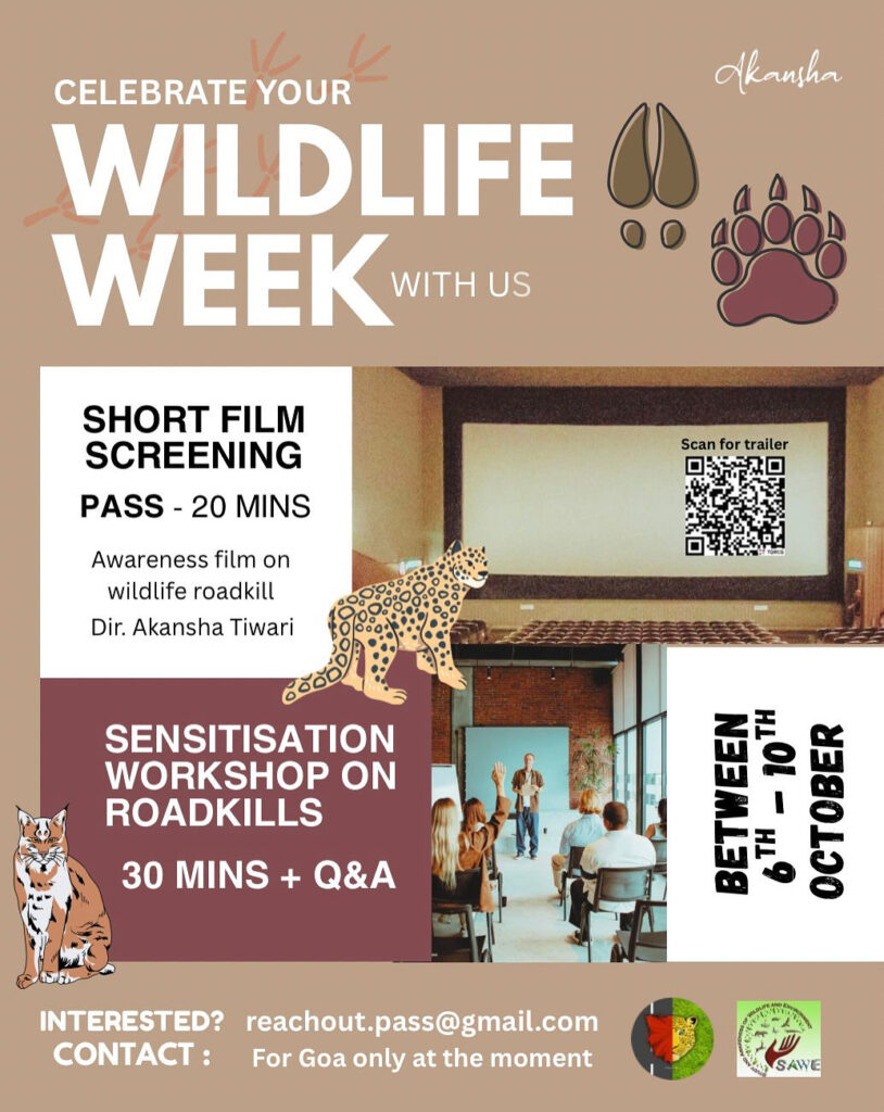 203064dd 1a91 408e 8eb6 b1e91e34e4ec