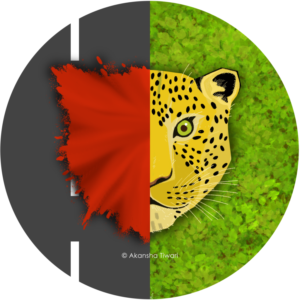 pass v 29 04 copyright2