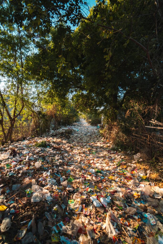 A forest pathway in Myanmar covered with plastic pollution and litter amidst trees.